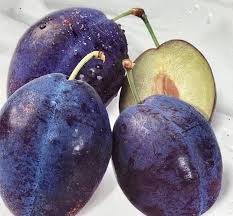 Prun "Stanley" 1.80 - 2.30 m / Prunus domestica "Stanley"/