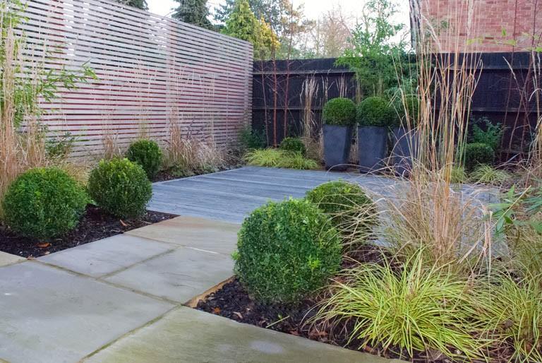 Carex „ Evergold 0.20 - 0.30 m Carex hachijoensis „Evergold”